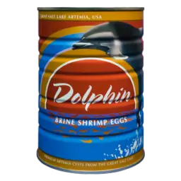 Dophin can PNG