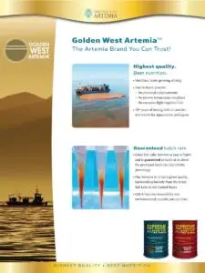 Brochure cover - Golden West