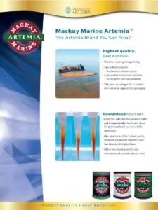 Portada del folleto - Mackay Marine