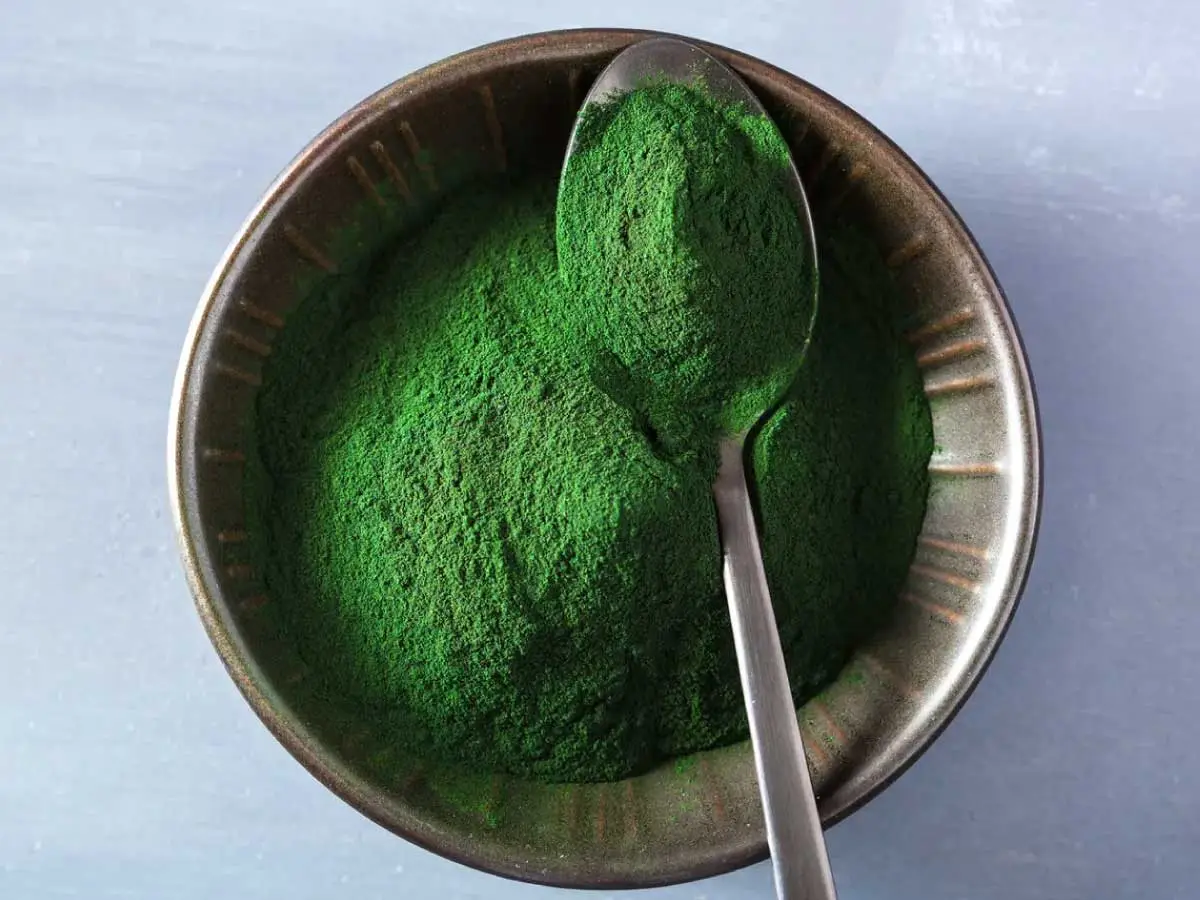 Metal can with green Spirulina