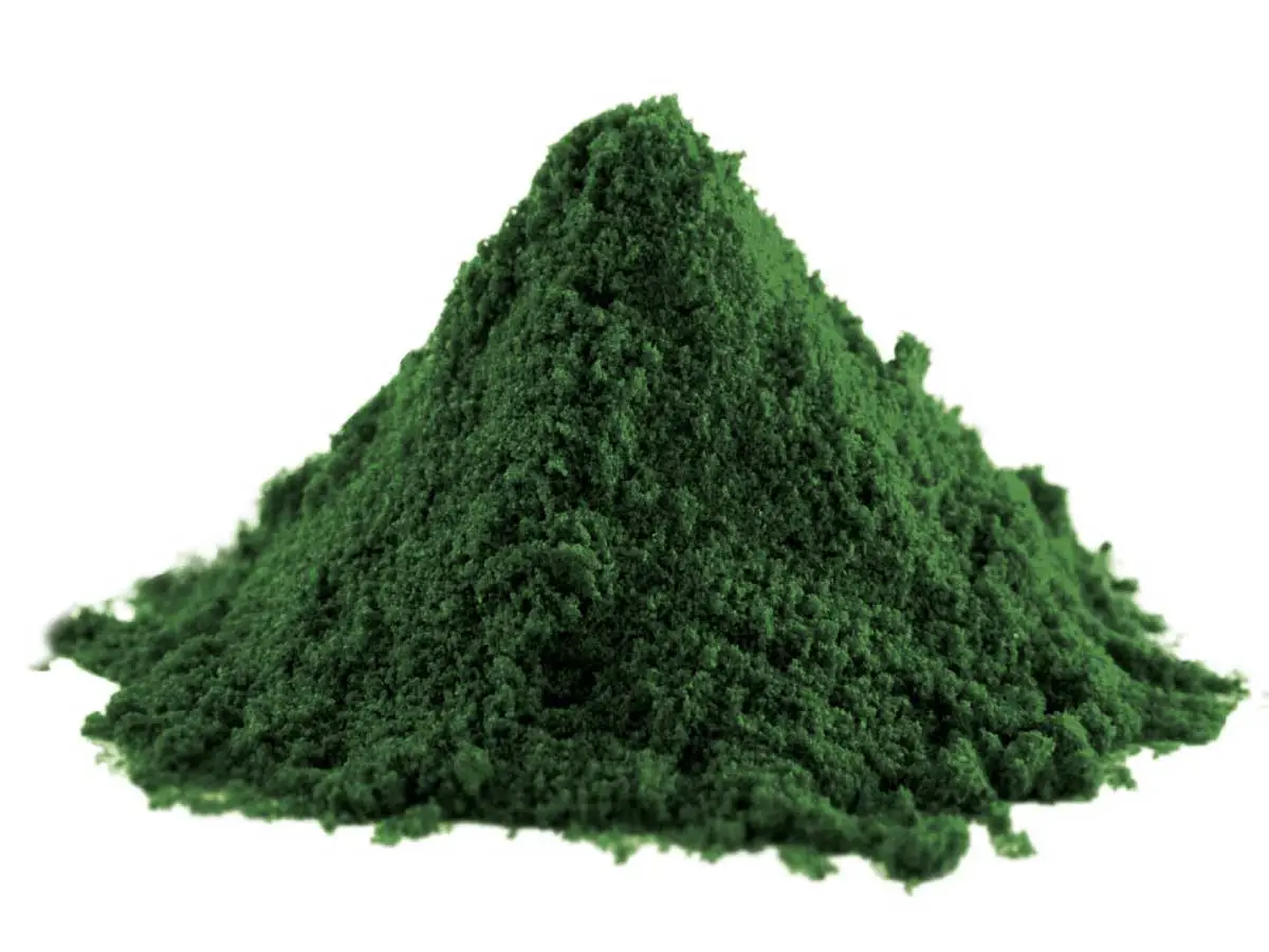 Pile of green Spirulina